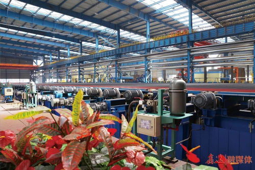 除尘系统升级改造,助力绿色文化工厂建设